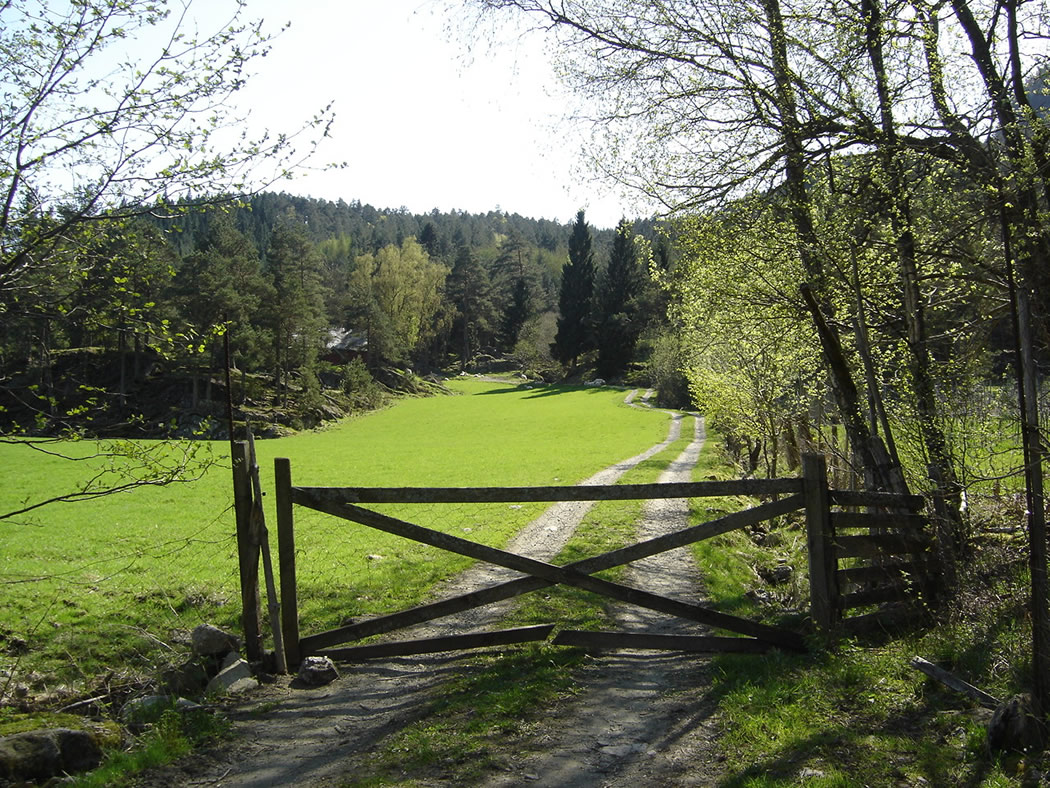 The farm gate into Mjøstølen - © Anne Gullbjørg Digranes