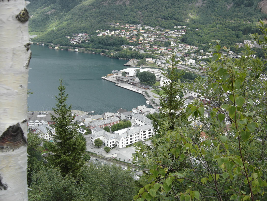 Odda with primary school and port area seen from above - © Anne Gullbjørg Digranes