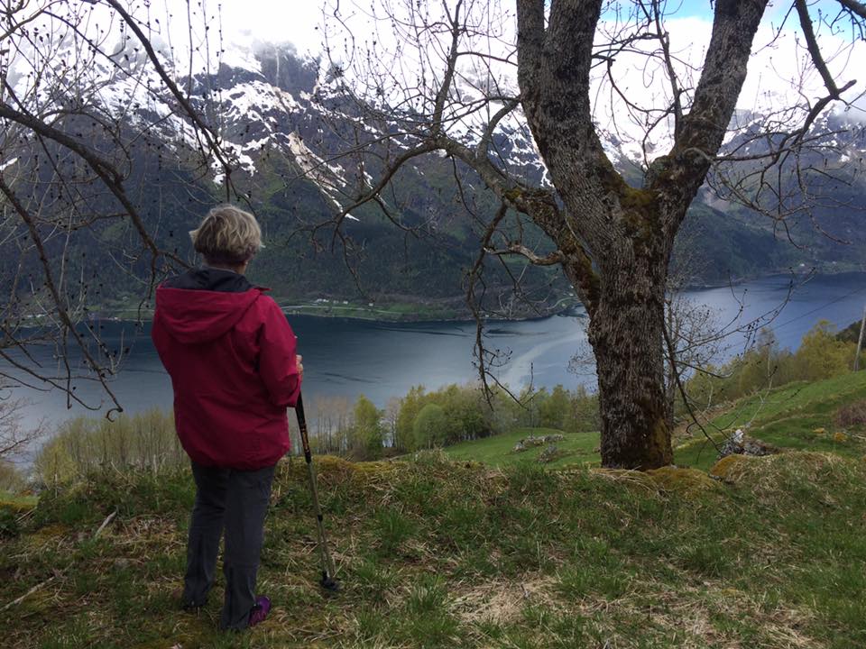 View from Isberg © Anne Grethe Thiis Vestrheim