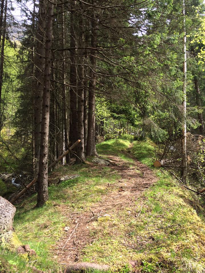The walking path to Isberg. © Anne Grethe Thiis Vestrheim