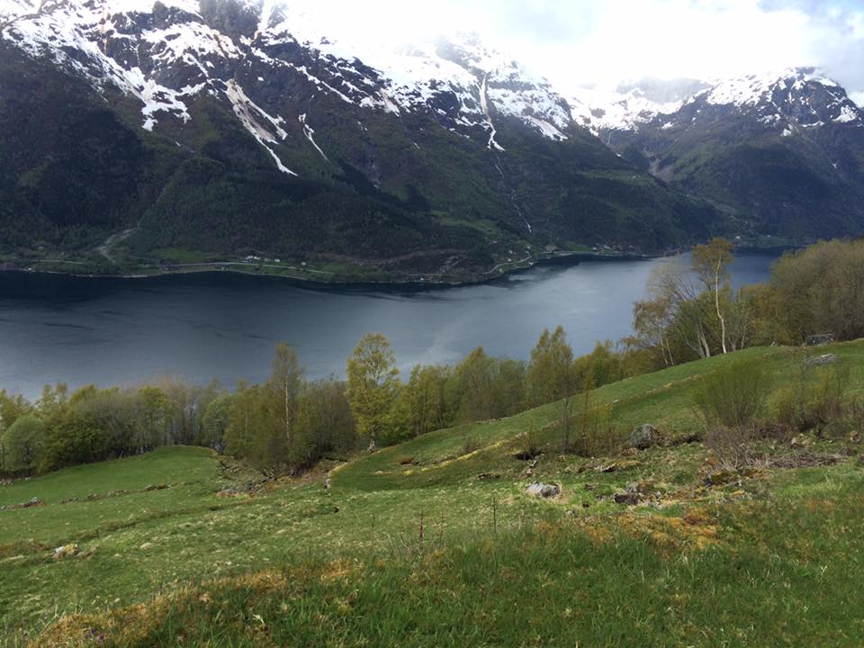 View toward Apold and Digranes. © Anne Grethe Thiis Vestrheim