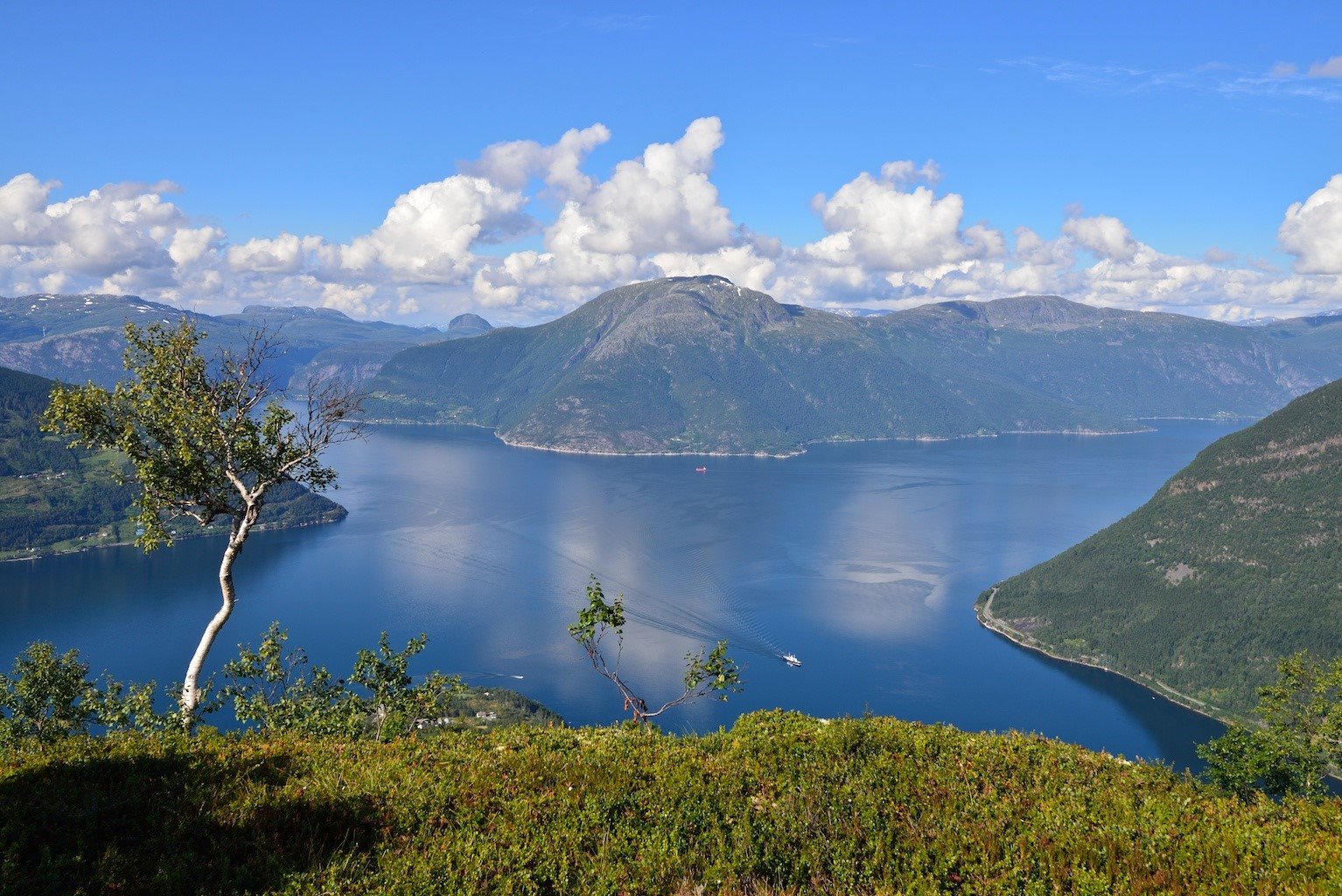 Utsikt frå Dronningstien.  © Visit Hardangerfjord / Foto Øyvind Heen