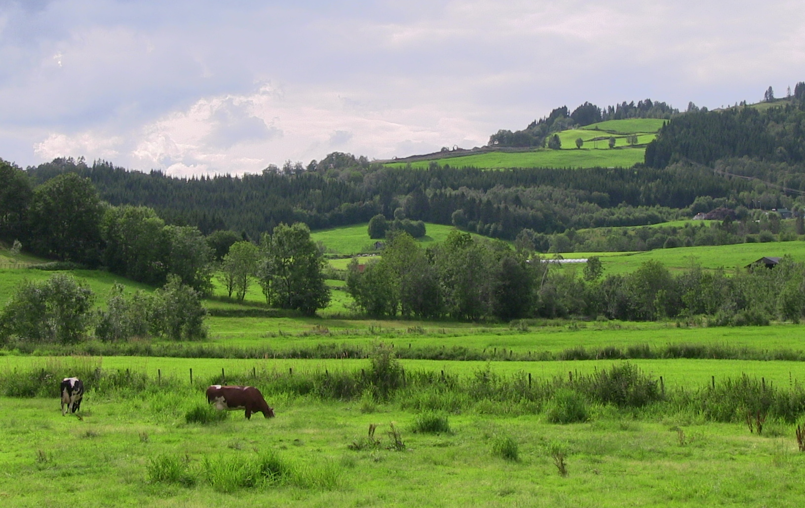 Mo-myrane, Øystese. © Anne Gullbjørg Digranes