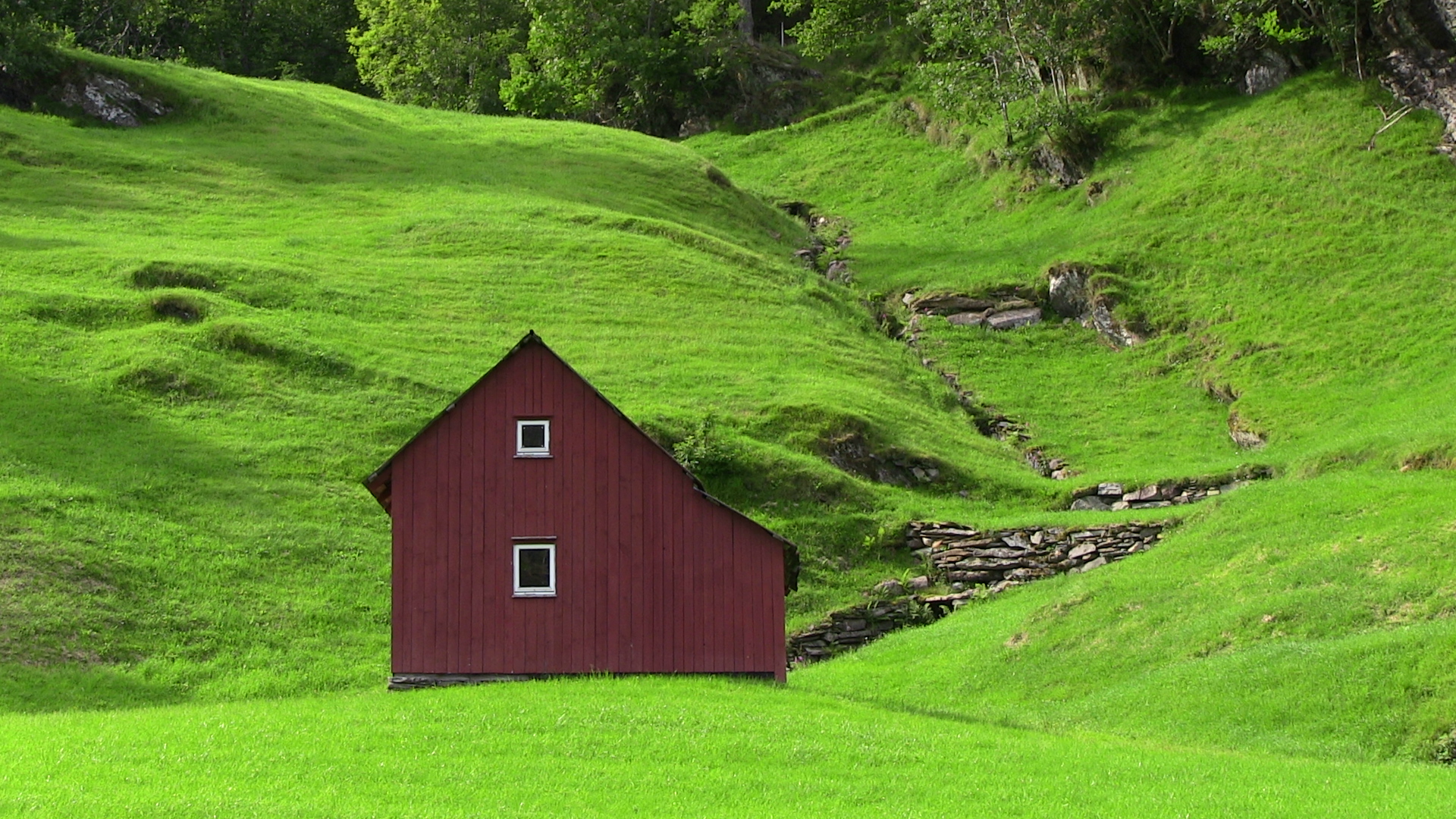 Sommarløe i beitelandskap - © Anne Gullbjørg Digranes