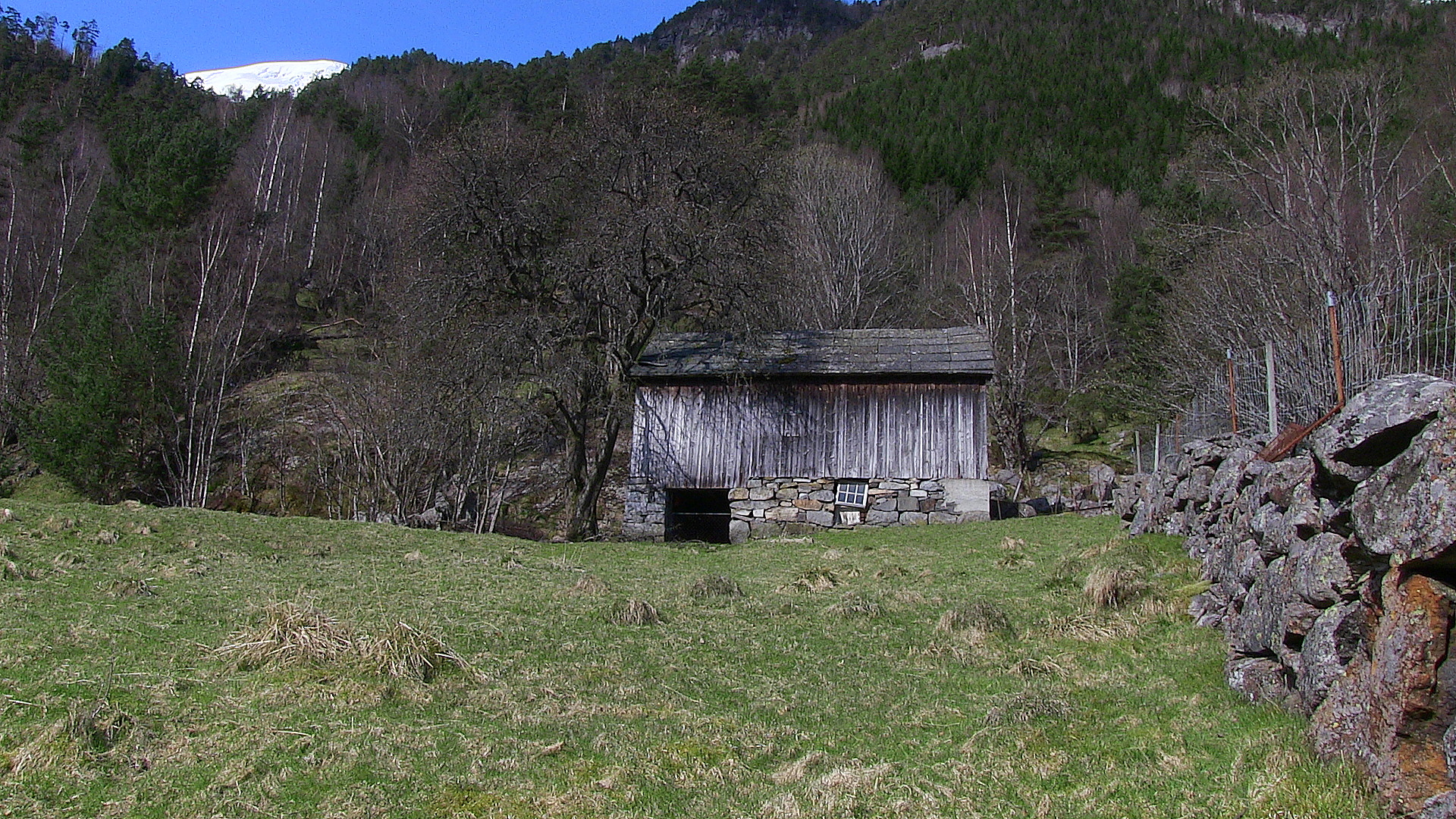 Sommarløe. - © Anne Gullbjørg Digranes