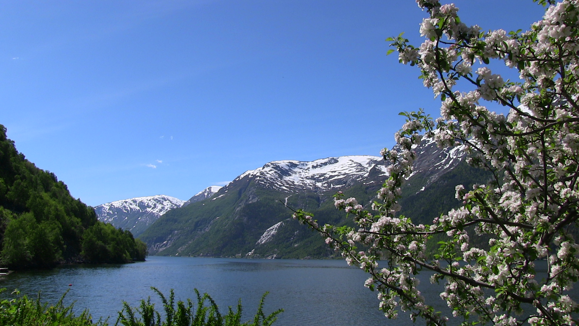 Sørfjorden sett frå Skjelvik mot Edna. - © Anne Gullbjørg Digranes