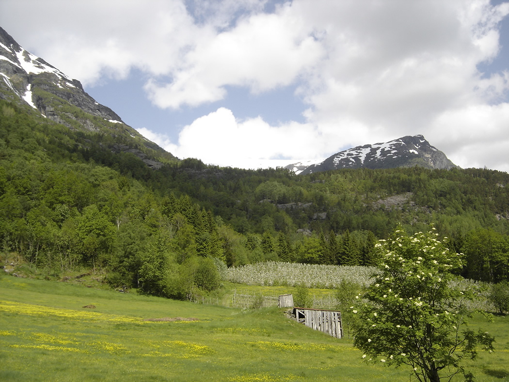 Botnane mot Balen med hesjastaurskuret,bløming - © Anne Gullbjørg Digranes