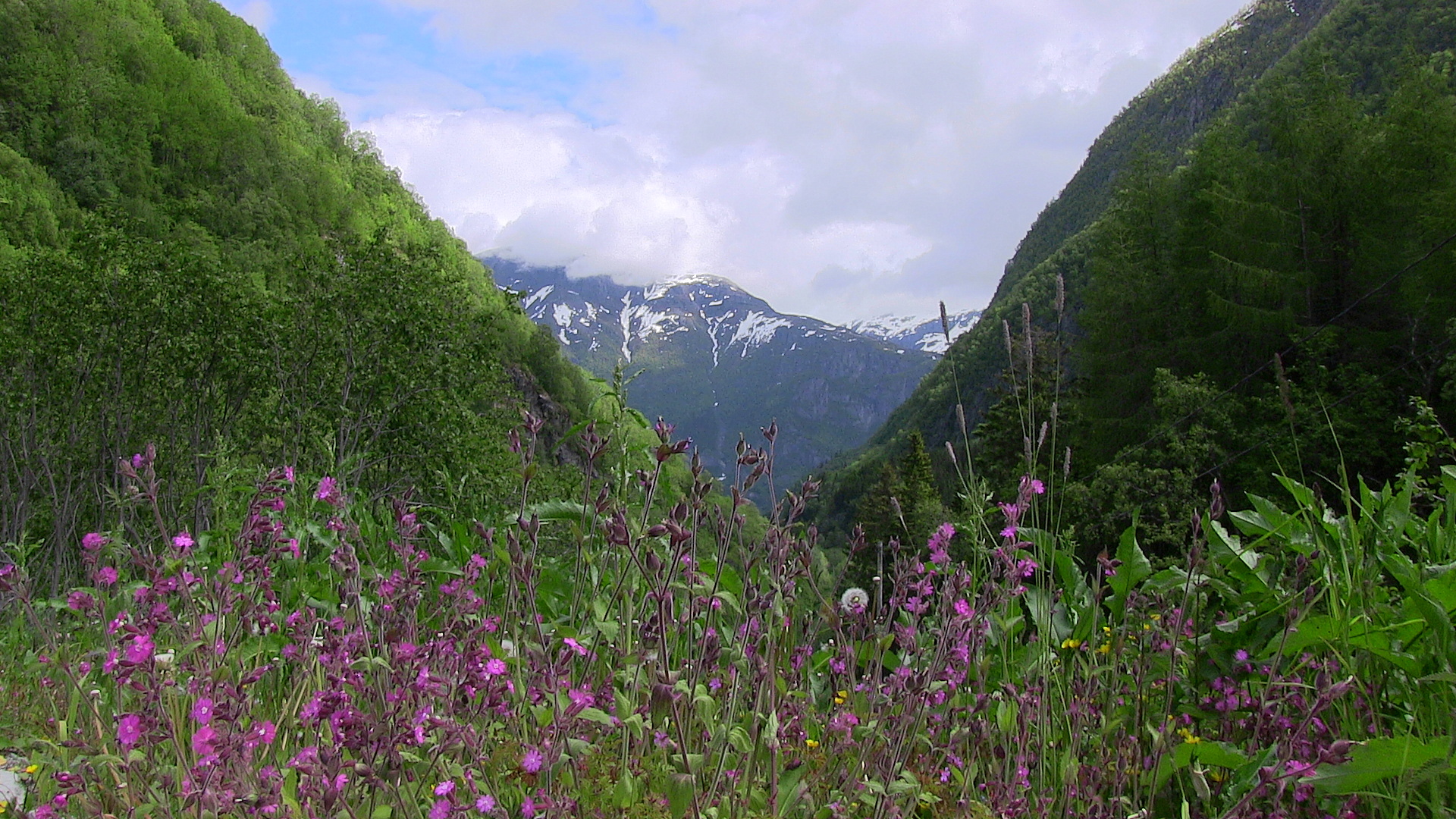 Buardalen sett mot aust. © Anne Gullbjørg Digranes