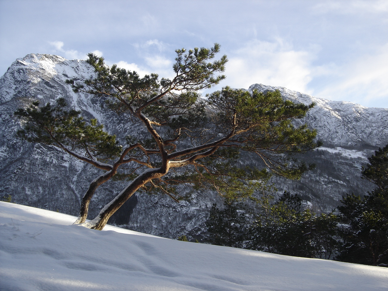 Frå Kyrkjehaug mot Isberg. © Anne Gullbjørg Digranes
