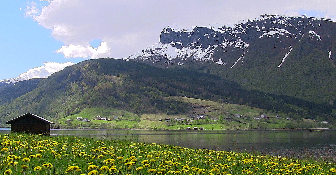 Nesheim sett frå Hollve. © Anne Gullbjørg Digranes