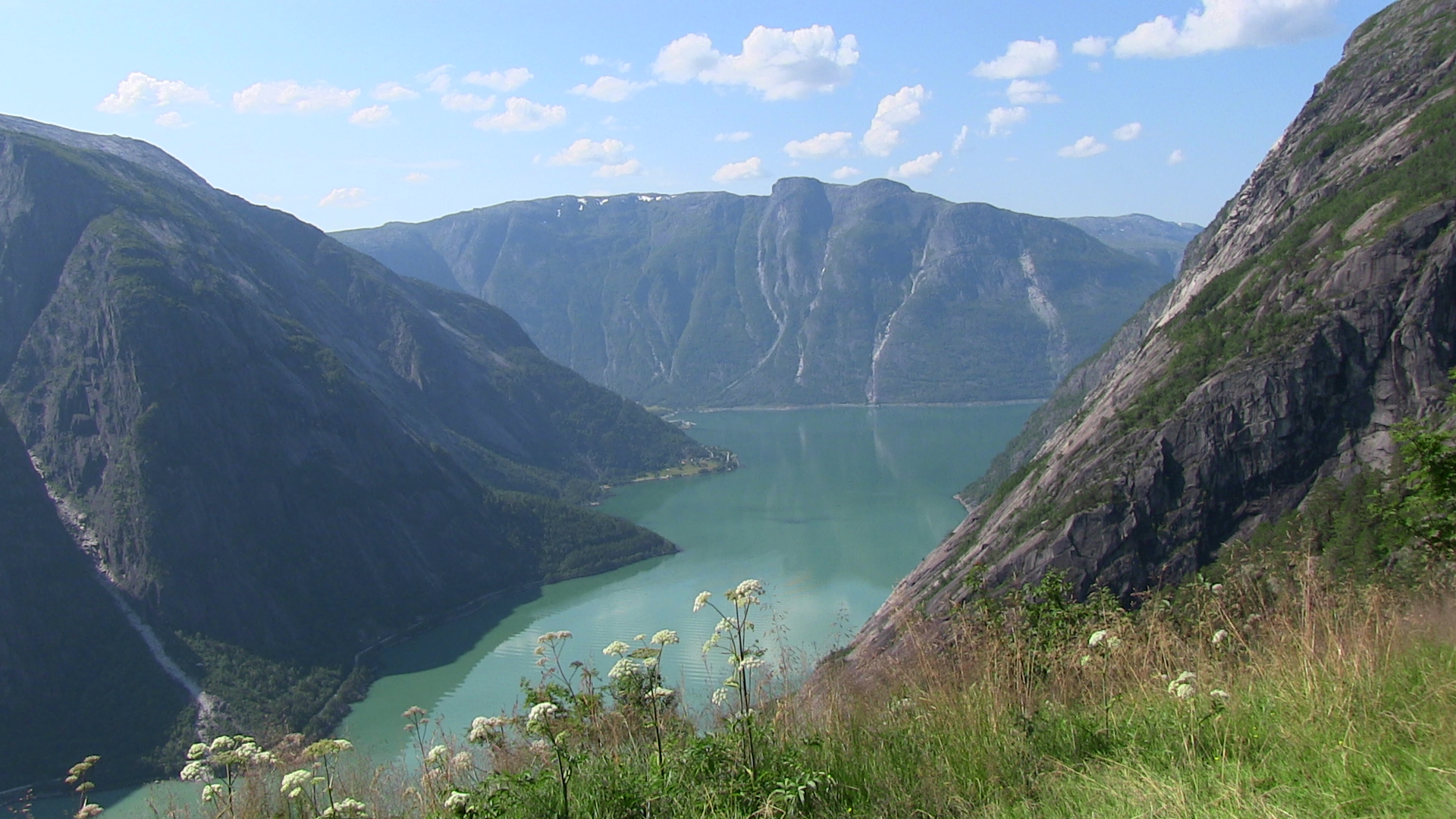 Simadalsfjorden sett frå Kjeåsen. - © Anne Gullbjørg Digranes