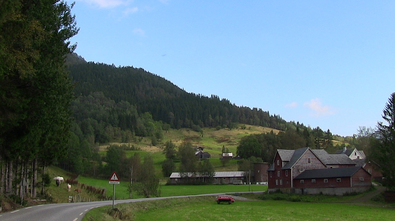 Gardstuna Søylevi og Aurdalsvegen. © Anne Gullbjørg Digranes