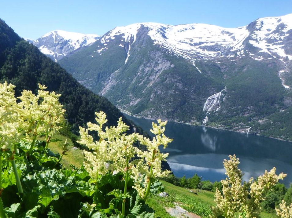 View toward Edna and Folgefonna glacier. © Randi Mørk