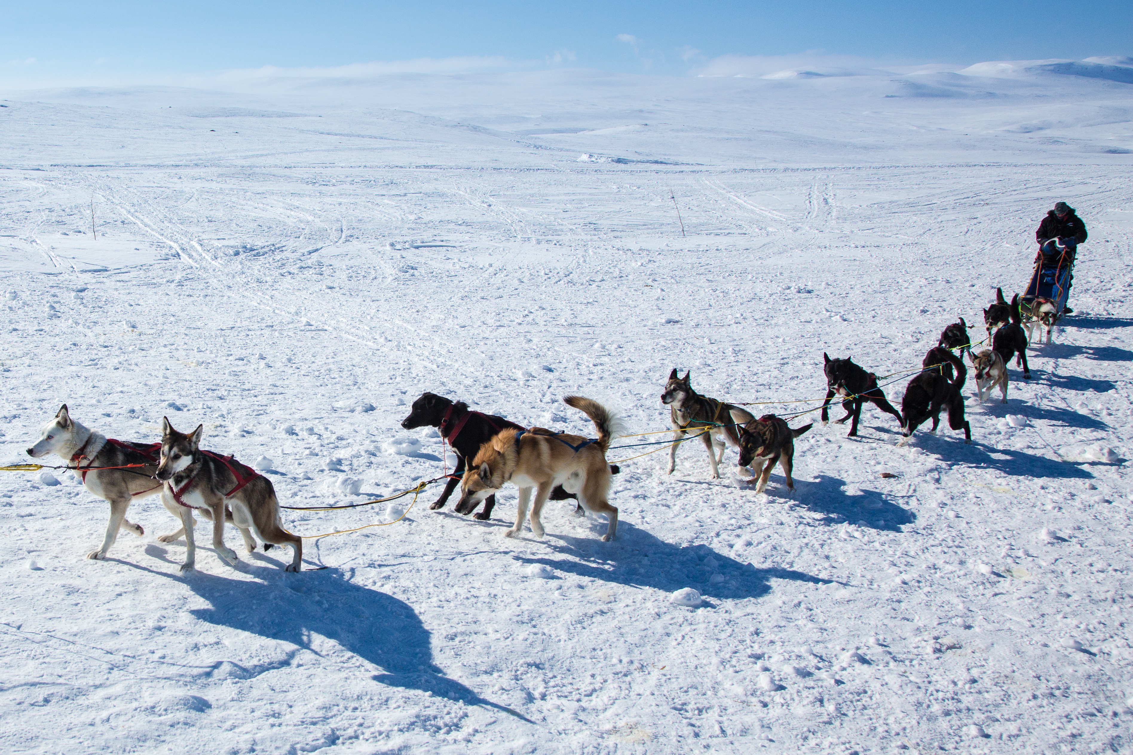 På Hardangervidda. © Reisemål Hardangerfjord/ Foto Konrad Konieczny