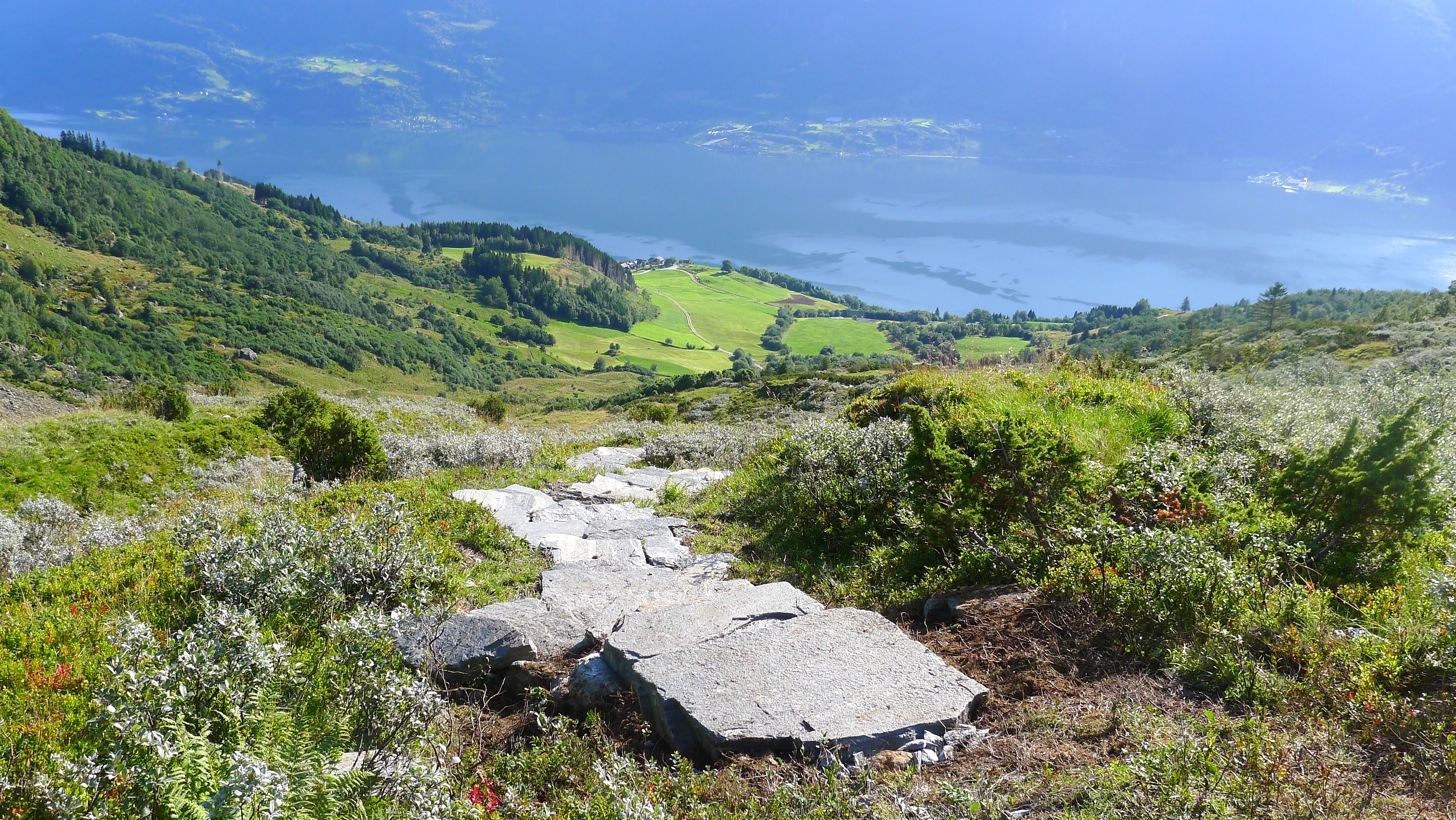 Buføringsvegen sett frå Reiseterlia. © Kåre Grønsnes