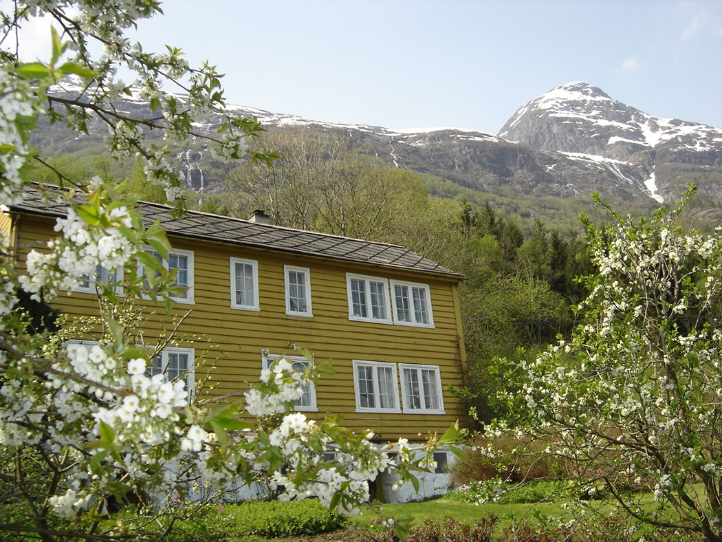 Stokkabakken, Digranes. May. - © Anne Gullbjørg Digranes