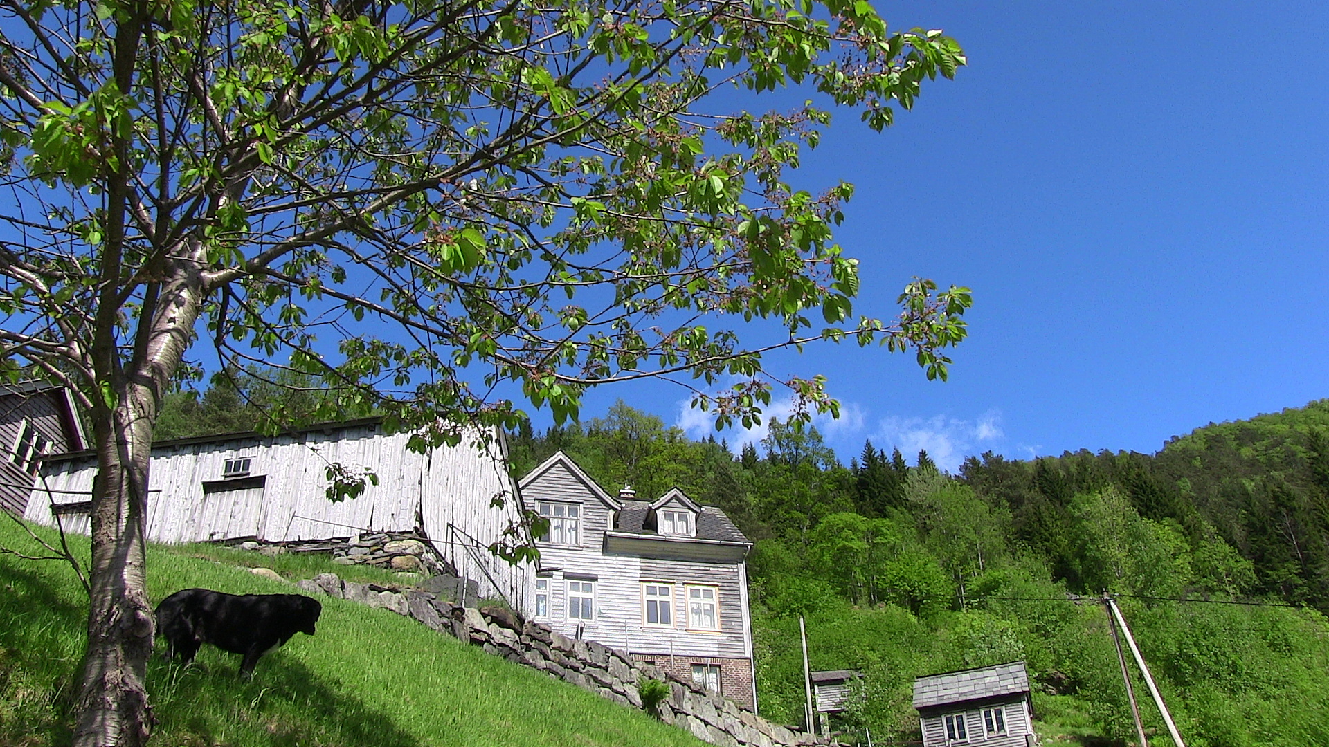 Gardstun på Skjeldås. - © Anne Gullbjørg Digranes