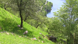 Landscapes